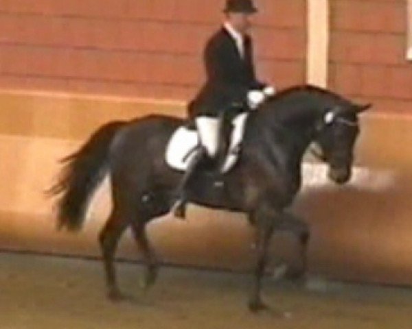 horse Diamand Cut (Rhinelander, 2002, from Diamond Hit)
