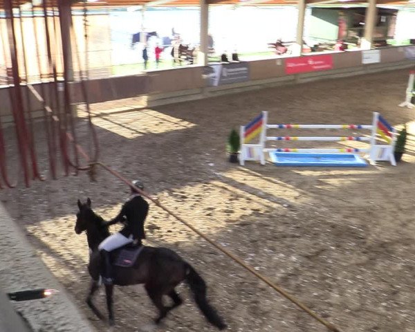 Reitturnier Oelde 2022