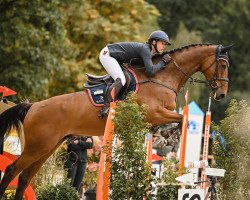 Springpferd Baluca (Holsteiner, 2016, von Constanzehof's Barcley)