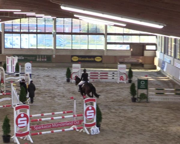 Reitturnier Oelde 2022