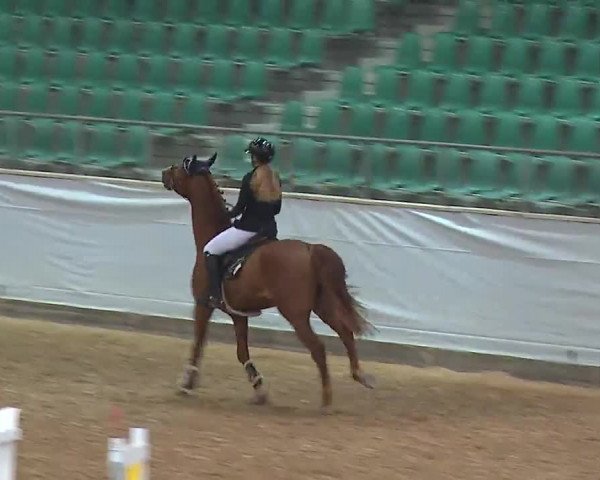 Reitturnier Kreuth/Opf. 2022