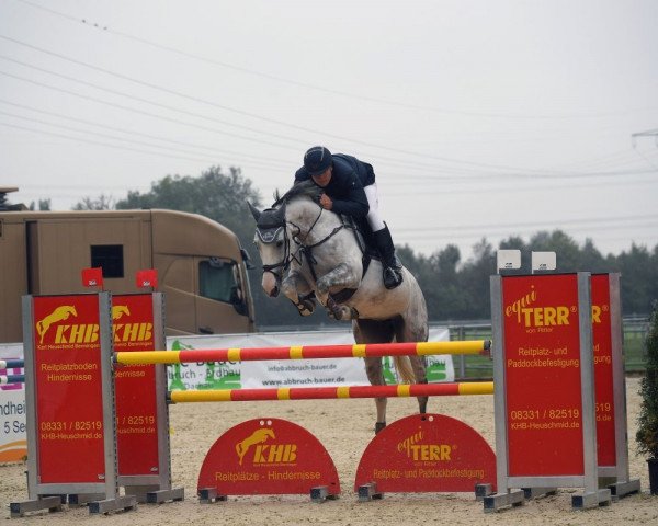 Springpferd Cece White (Westfale, 2015, von Colestus)