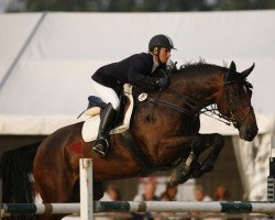 Springpferd Chameur (Holsteiner, 1995, von Calato)