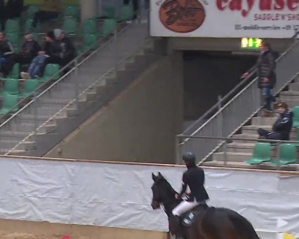 Reitturnier Kreuth/Opf. 2022