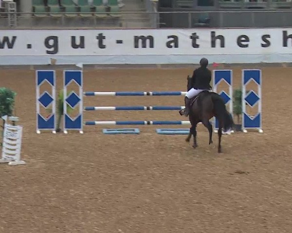 Reitturnier Kreuth/Opf. 2022