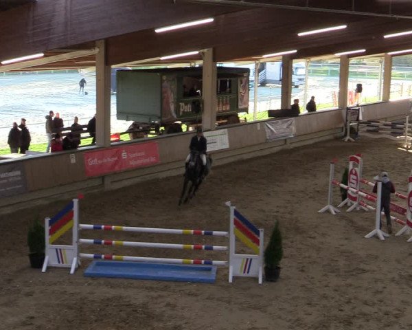Reitturnier Oelde 2022