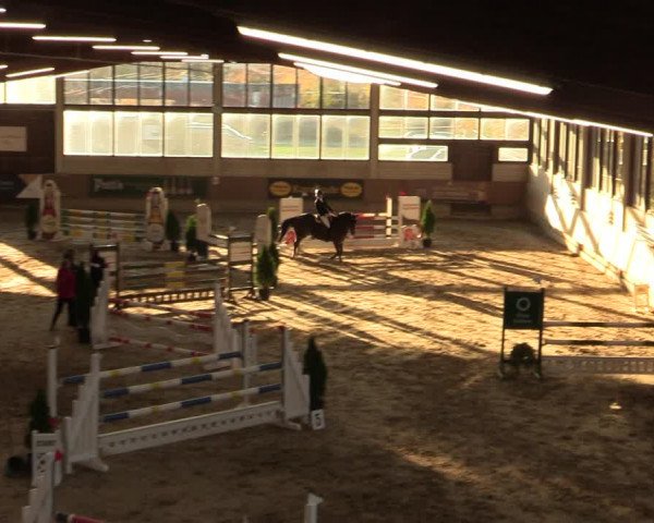 Reitturnier Oelde 2022