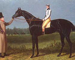Deckhengst Jerry xx (Englisches Vollblut, 1821, von Smolensko xx)