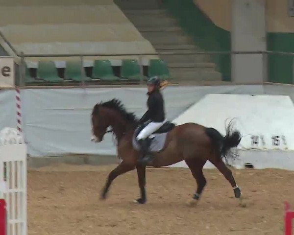 Reitturnier Kreuth/Opf. 2022