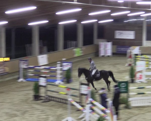 Reitturnier Oelde 2022