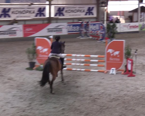 4. Nordic Jumping event Negernbötel 2022