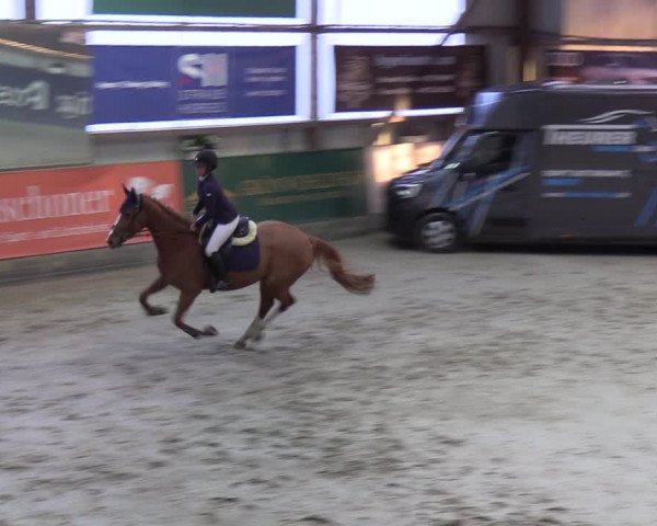 4. Nordic Jumping event Negernbötel 2022
