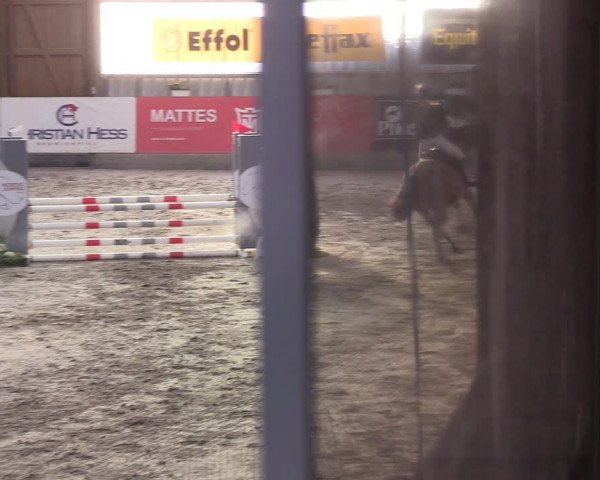 4. Nordic Jumping event Negernbötel 2022