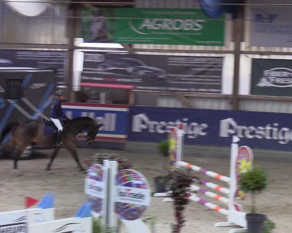 4. Nordic Jumping event Negernbötel 2022