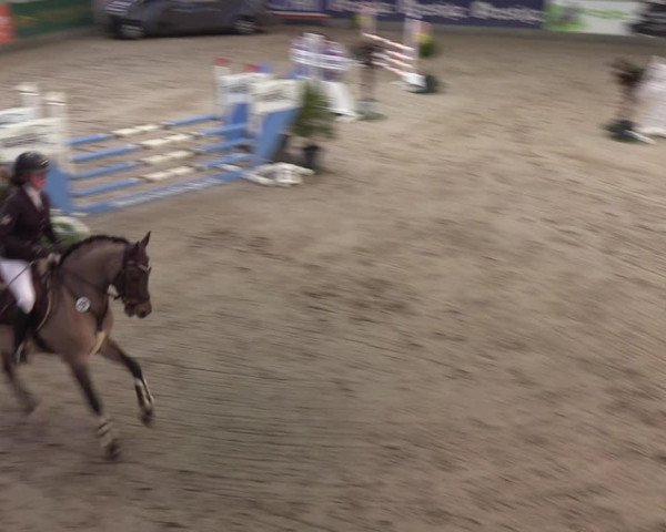 4. Nordic Jumping event Negernbötel 2022
