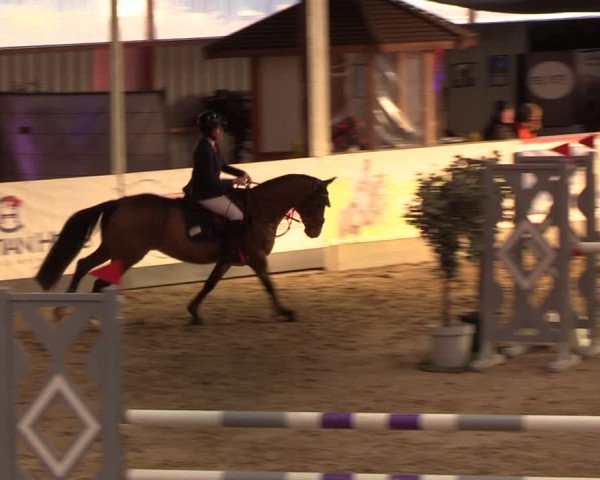 4. Nordic Jumping event Negernbötel 2022