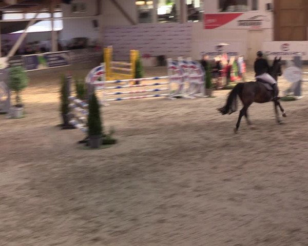 4. Nordic Jumping event Negernbötel 2022
