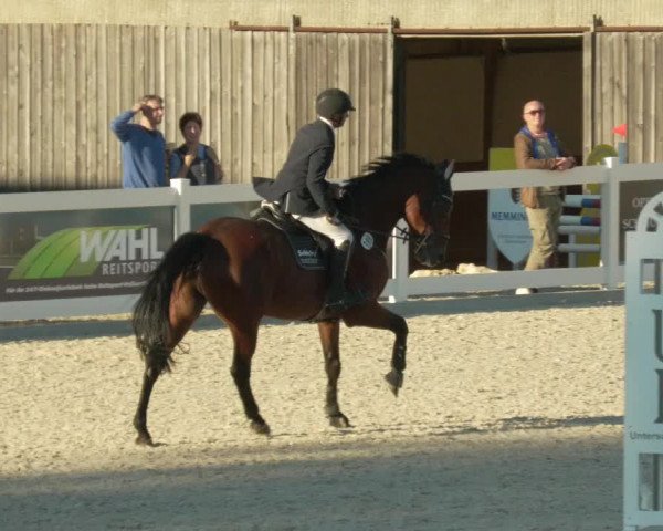 Springturnier Memmingen 2021