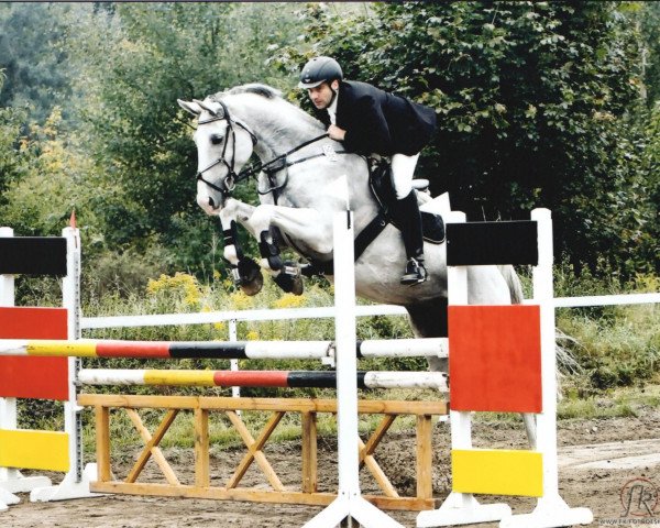 horse Tamar 7 (KWPN (Royal Dutch Sporthorse), 2000, from Climax)