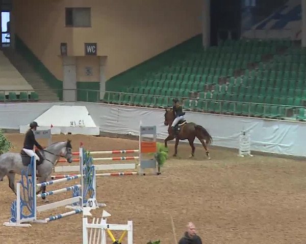 Reitturnier Kreuth/Opf. 2022