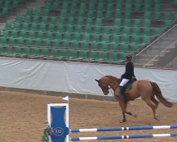 Reitturnier Kreuth/Opf. 2022
