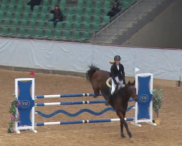 Reitturnier Kreuth/Opf. 2022