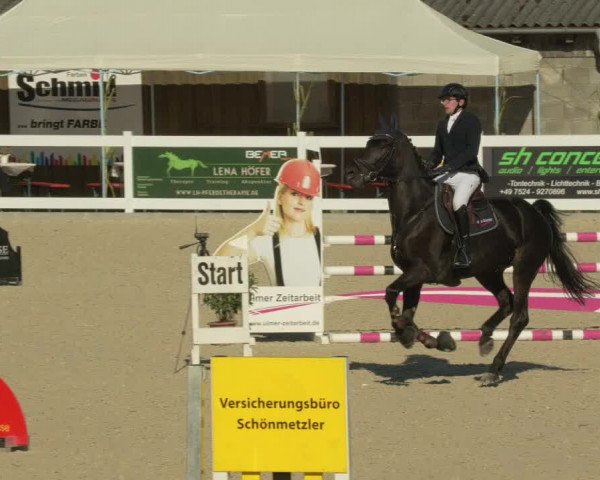 Springturnier Memmingen 2021