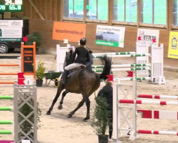 Reitturnier Rüti 2022