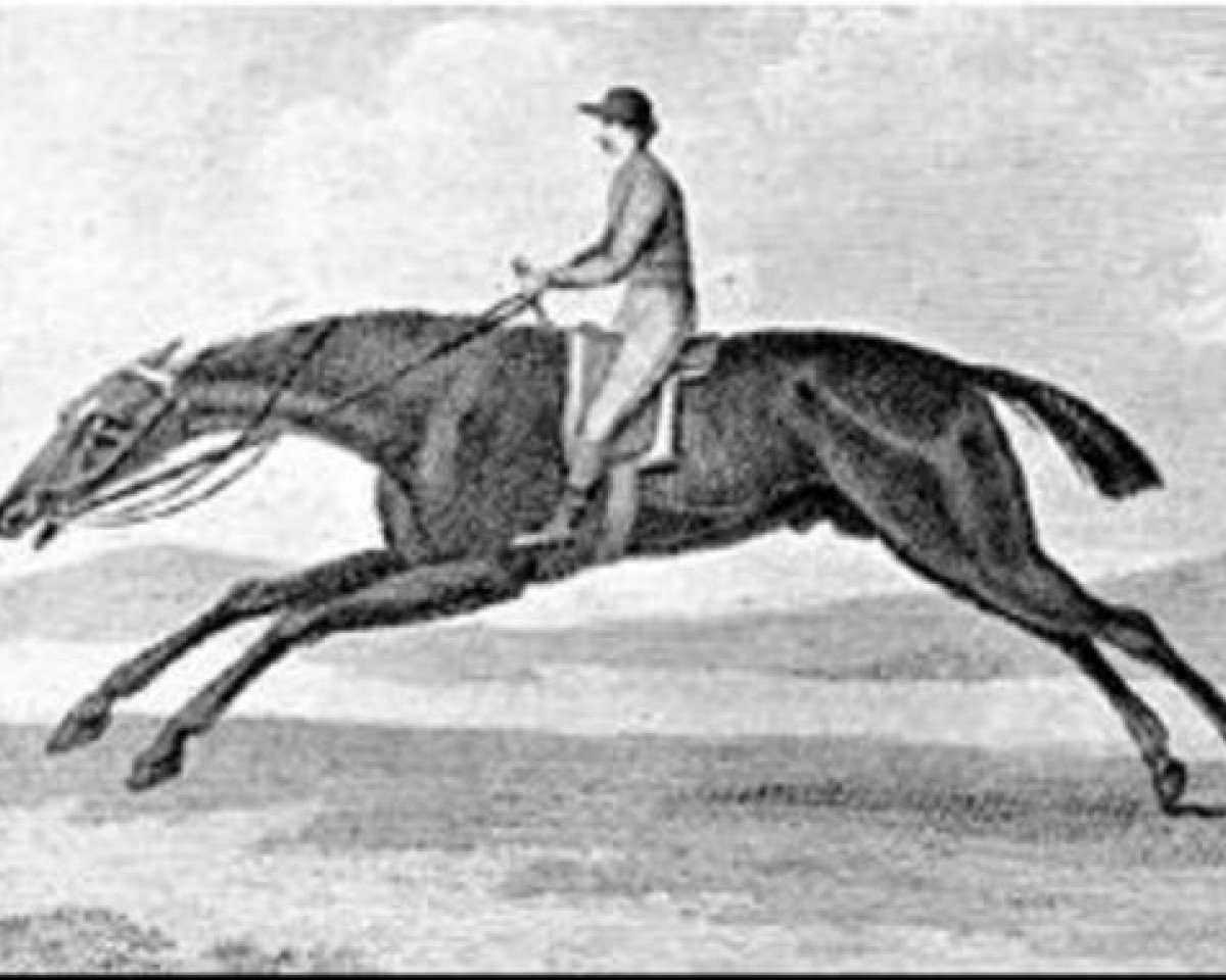 Deckhengst King Fergus xx (Englisches Vollblut, 1775, von Eclipse xx)