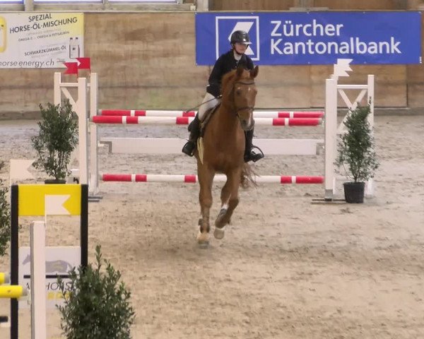 Reitturnier Rüti 2022