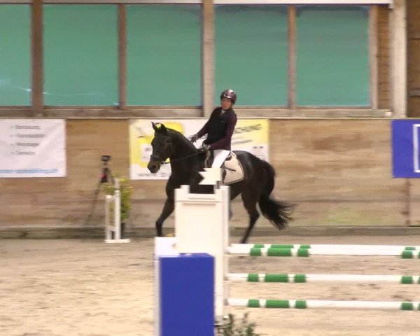 Reitturnier Rüti 2022