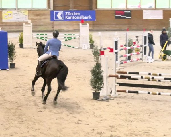 Reitturnier Rüti 2022