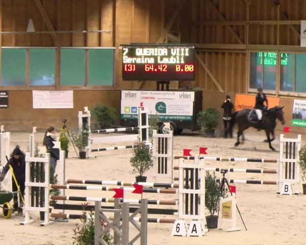 Reitturnier Rüti 2022