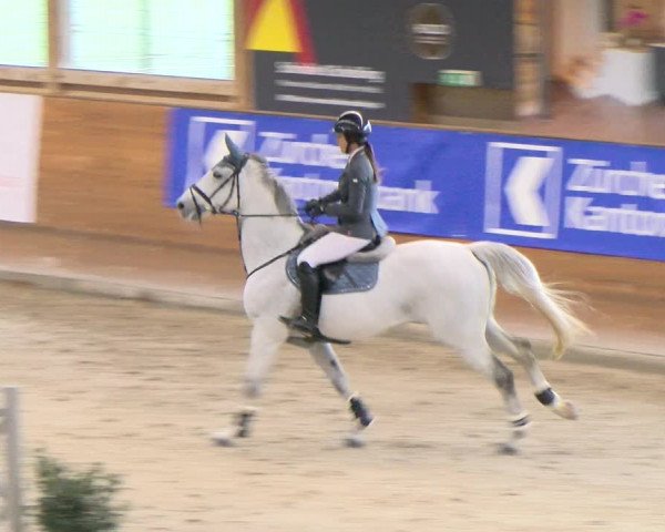 Reitturnier Rüti 2022