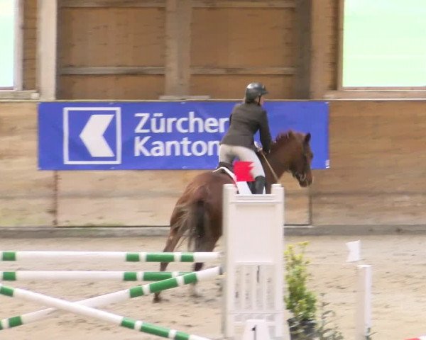 Reitturnier Rüti 2022