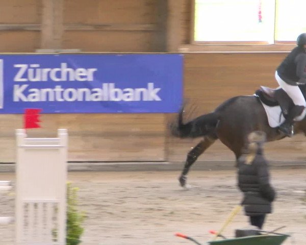 Reitturnier Rüti 2022