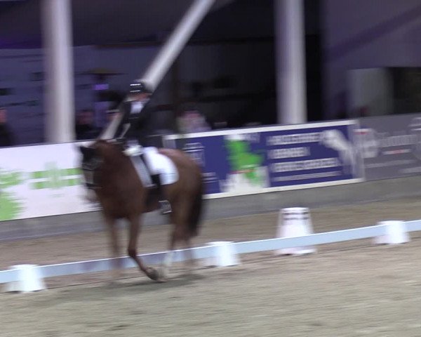 4. Nordic Jumping event Negernbötel 2022