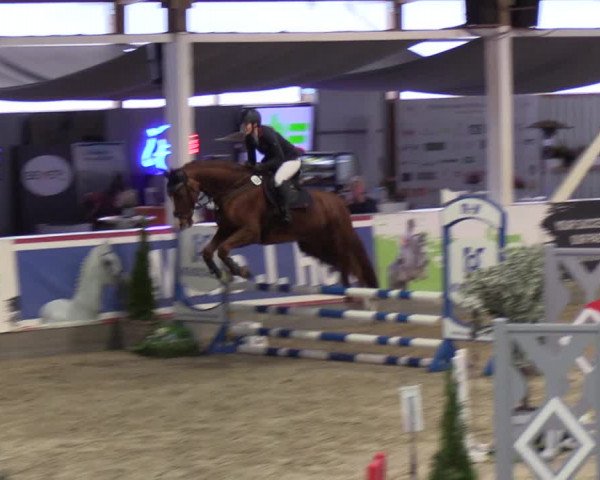 4. Nordic Jumping event Negernbötel 2022