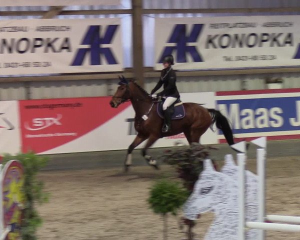 4. Nordic Jumping event Negernbötel 2022