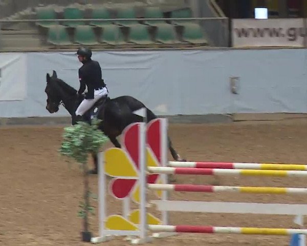 Reitturnier Kreuth/Opf. 2022