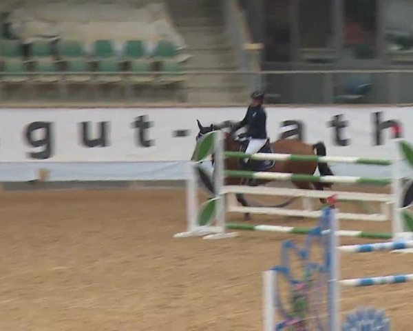 Reitturnier Kreuth/Opf. 2022