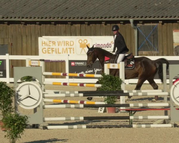 Springturnier Memmingen 2021