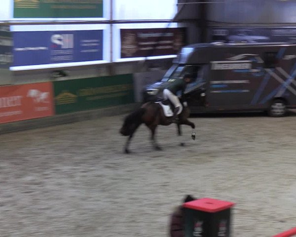 4. Nordic Jumping event Negernbötel 2022