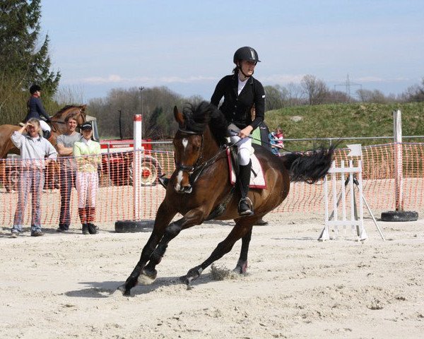 jumper Call me Quest (Bavarian, 2003, from Camposanto)