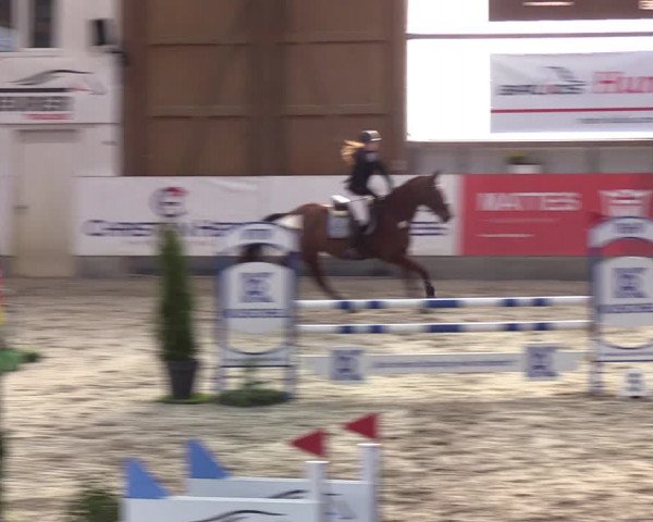 4. Nordic Jumping event Negernbötel 2022