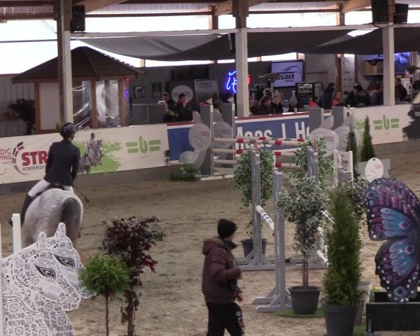 4. Nordic Jumping event Negernbötel 2022