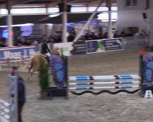 4. Nordic Jumping event Negernbötel 2022