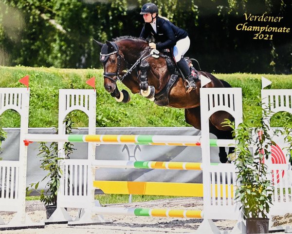 Springpferd Atc's Corsica G (Hannoveraner, 2016, von Cormint)