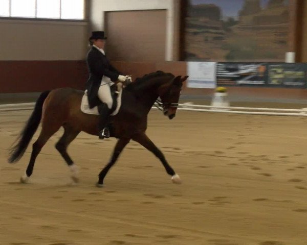 Reitturnier Weikersdorf am Steinfelde 2022