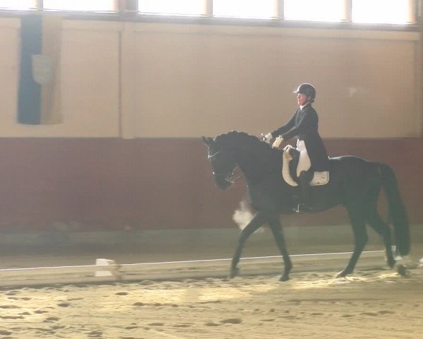 Reitturnier Weikersdorf am Steinfelde 2022
